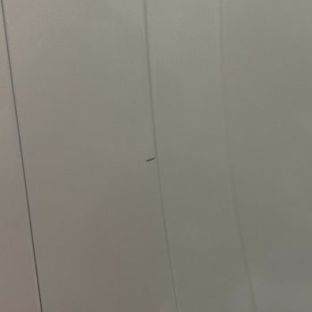 Vestel Tarafından Mağdur Edildim