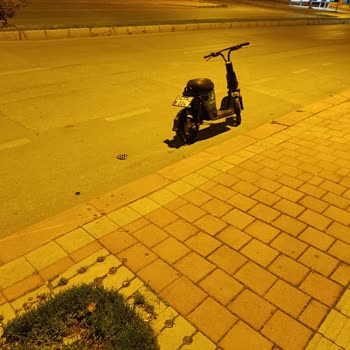 Martı Yüzünden Başımız Dertte