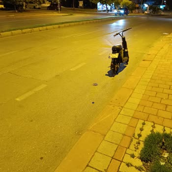 Martı Yüzünden Başımız Dertte