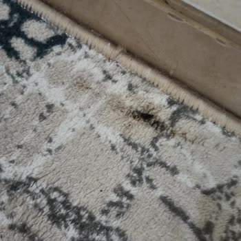 Mis Halı Yıkama İskenderun Mis Halı Ve Koltuk Yıkama Halılarımızı Çamurlu Teslim Etti