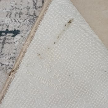 Mis Halı Yıkama İskenderun Mis Halı Ve Koltuk Yıkama Halılarımızı Çamurlu Teslim Etti