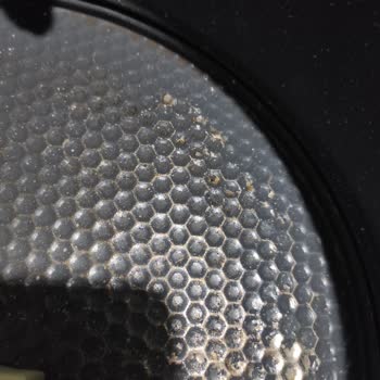 Schafer Kek Kalıbımın Kaplaması Sokuluyor