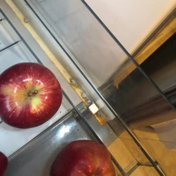 Vestel Puzzle Model Buzdolabı Paslandı!