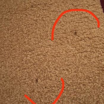 Bağcılar Elif Halı Yıkama