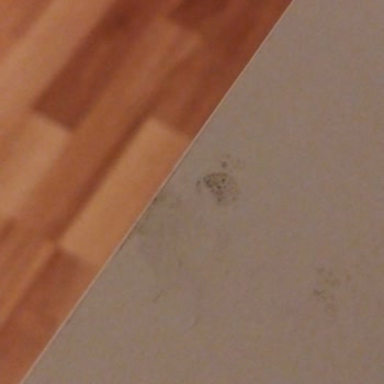 Yataş Enza Home Horoz Lojistik Bizi Mağdur Etti