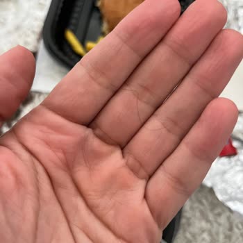 Lavantes Yemekten Kıl Çıktı