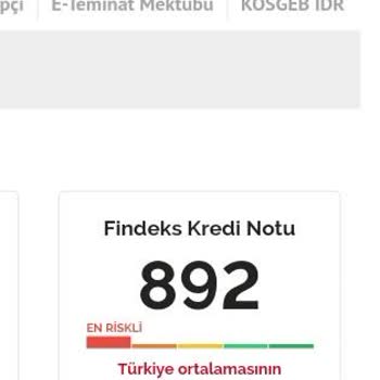 Findeks Hiçbir Şekilde Puanımı Yükseltmiyor