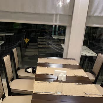 Rixos Hotels Restoranda Hayvan Var Ve Hizmet Kusuru