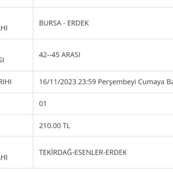 Pamukkale Turizm Yolcusunu Almadan Hareket Gidiyor