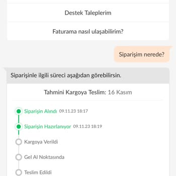 FLO Ayakkabı FLO Trendyol Satıcısı Ürünü Kargolamıyor