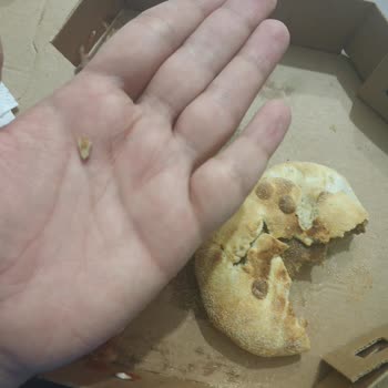 Domino's Pizza Domdom Burgerden Çıkan Kemik! 🤦🏻‍♂️