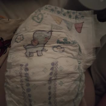 Prima 2021 Üretim Mal Göndermişler