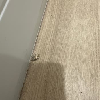 İstmarina Site Yönetimi İstanbul Marina Yönetim