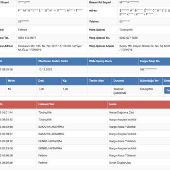 Sürat Kargo Zamanında Teslim Edilmeyen Kargo
