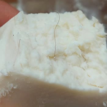 Peysan Tulum Peyniri Kıl Çıktı