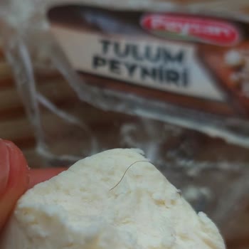 Peysan Tulum Peyniri Kıl Çıktı