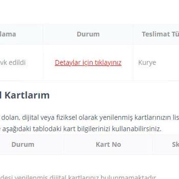 Passo Lig Kartlarının Gelmemesi