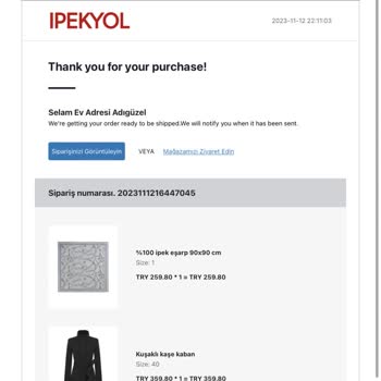 GO İpekyol Top Online Alışverişte Para Yurt Dışından Çekildi
