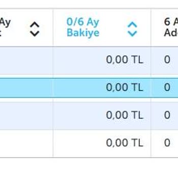 Birikim Varlık Yönetim Varlık Yönetim Şirketi Borcu Görünüyor KKB Den Kalkmıyor