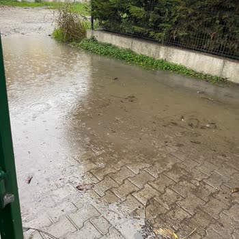 Adapazarı Belediyesi Halk Sağlığı Sorunu
