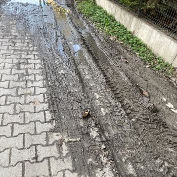 Adapazarı Belediyesi Halk Sağlığı Sorunu