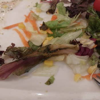 Tavuk Dünyasında Bozulmuş Salata Servis Ediliyor