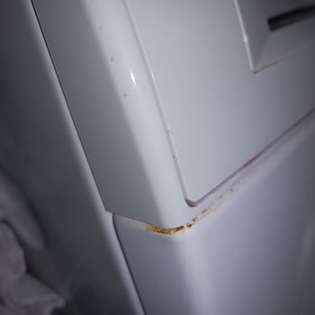 Bosch Çamaşır Makinesi Paslandı