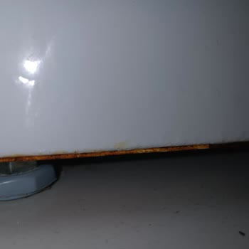 Bosch Çamaşır Makinesi Paslandı