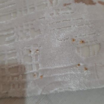 e-halıservisi E Halı Yıkama Mağduruyum