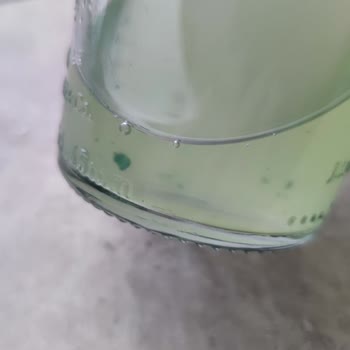 Schweppes İçecek Şişesindeki Beklenmedik Parçalar