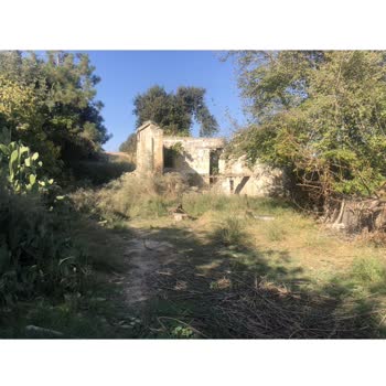 Maltepe Belediyesi Tarafımdan Alınan Emlak Vergisi...