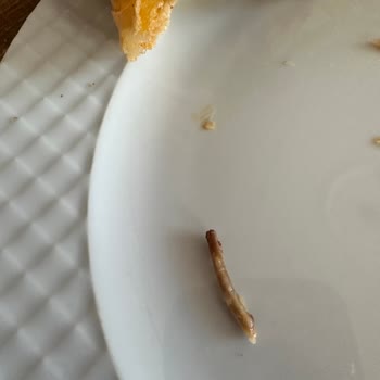 Ekrem Coşkun Döner Tavuk Dönerden Kemik Çıktı.