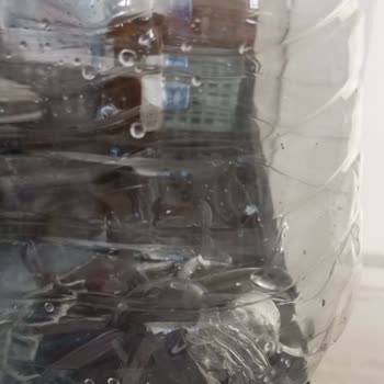 Assu İçinden Çıkan Yabancı Plastik Madde