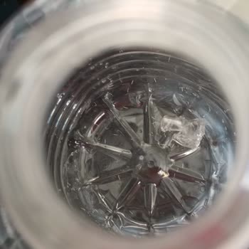 Assu İçinden Çıkan Yabancı Plastik Madde