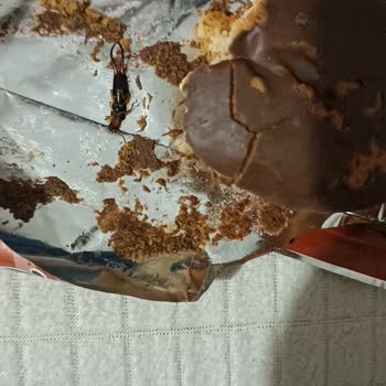 Ülker Siyah Bir Cisim