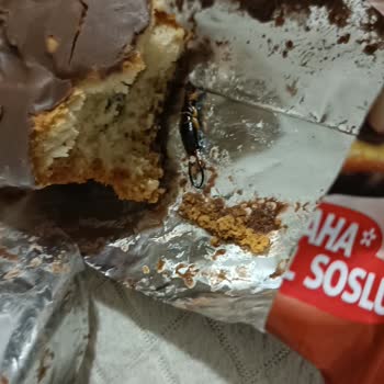 Ülker Siyah Bir Cisim