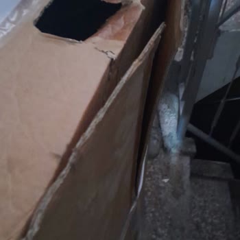 Horoz Lojistik İşini Düzgün Yapmıyor