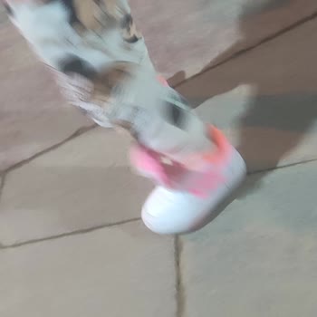 adidas Ayakkabının Cırt Cırtı Tutmuyor