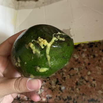 Yurtiçi Kargo Bütün Kargomu Ezmiş Şikayeti Hakkında