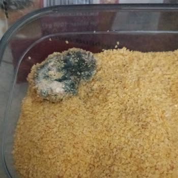 A101 Köftelik Bulgurdan Ölü Fare Çıktı