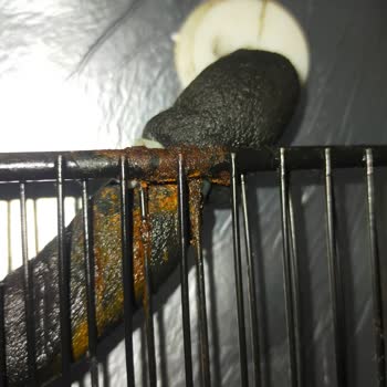 Arçelik 2070 MB Dondurucu Soğutmaması