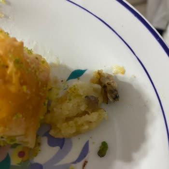 Alimoğlu Baklava Baklavanın İçerisinden Sigara İzmariti Çıktı!