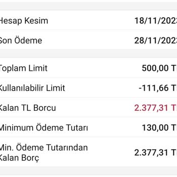 Garanti Bankası Kredi Kartı Borcu Görünüyor