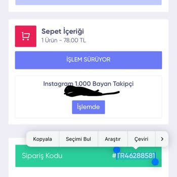Sosyalevin Takipçi Gönderilmemesi