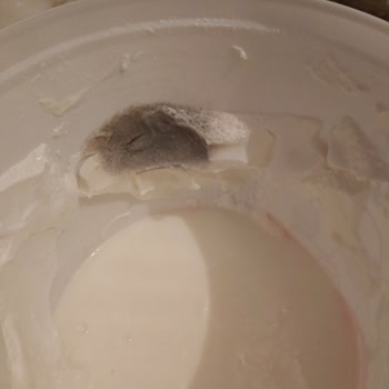 Dost Süt Dost Yoğurt Küfleniyor.