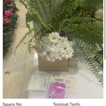 ÇiçekSepeti Kurye Mağduriyeti Müşteri Memnuniyeti 0