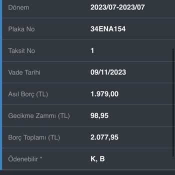 Tiktak Araç Kiralama Trafik Cezası