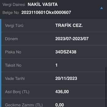 Tiktak Araç Kiralama Trafik Cezası