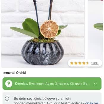 ÇiçekSepeti Solmuş Bitmiş Çiçek