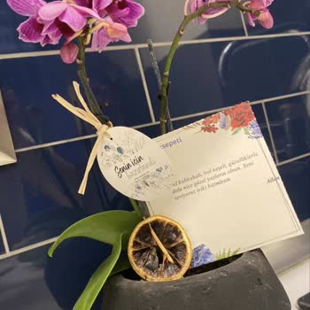 ÇiçekSepeti Solmuş Bitmiş Çiçek